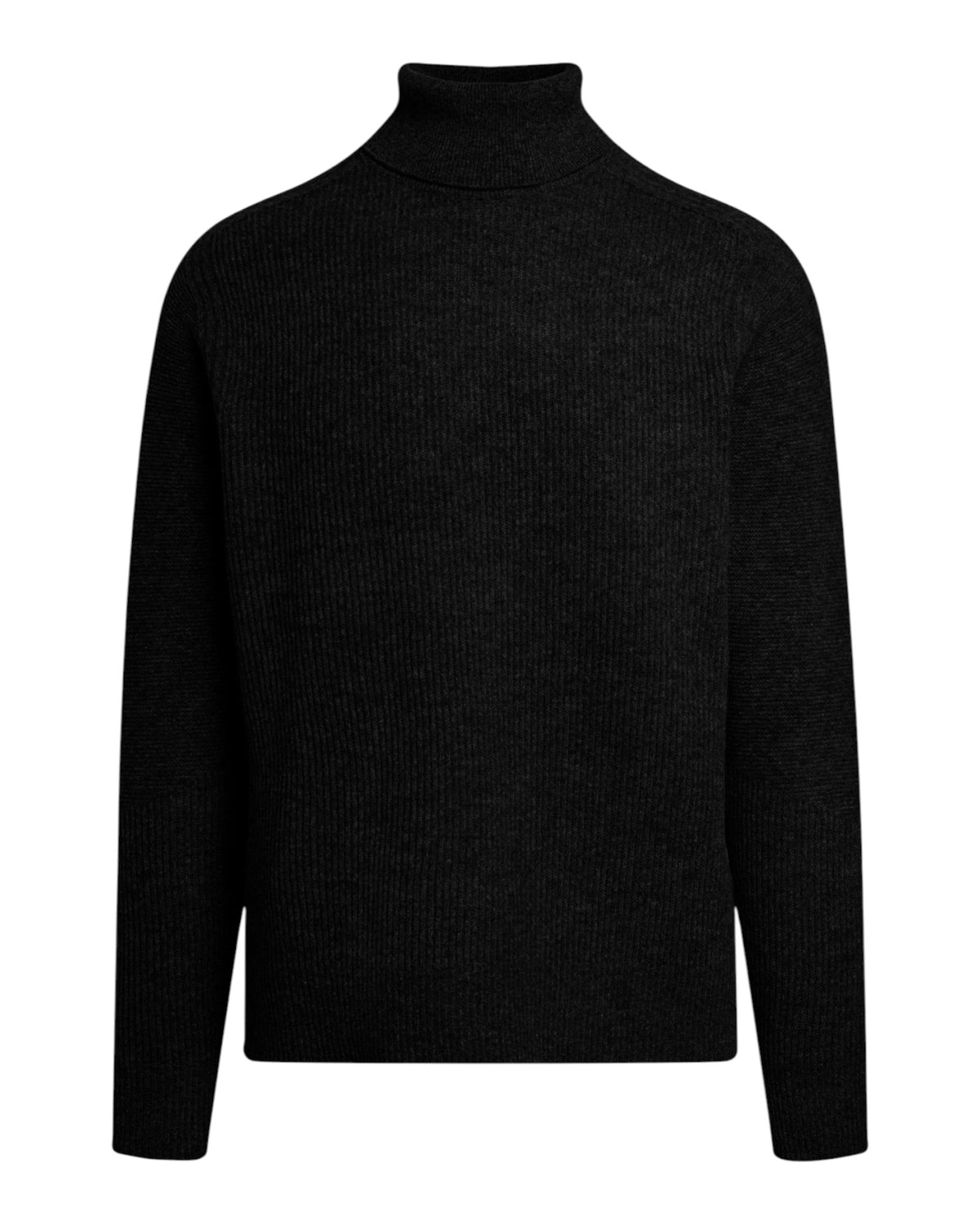 AlphaTauri FANNES Herren-Rollkragenpullover Schwarz Bild 1