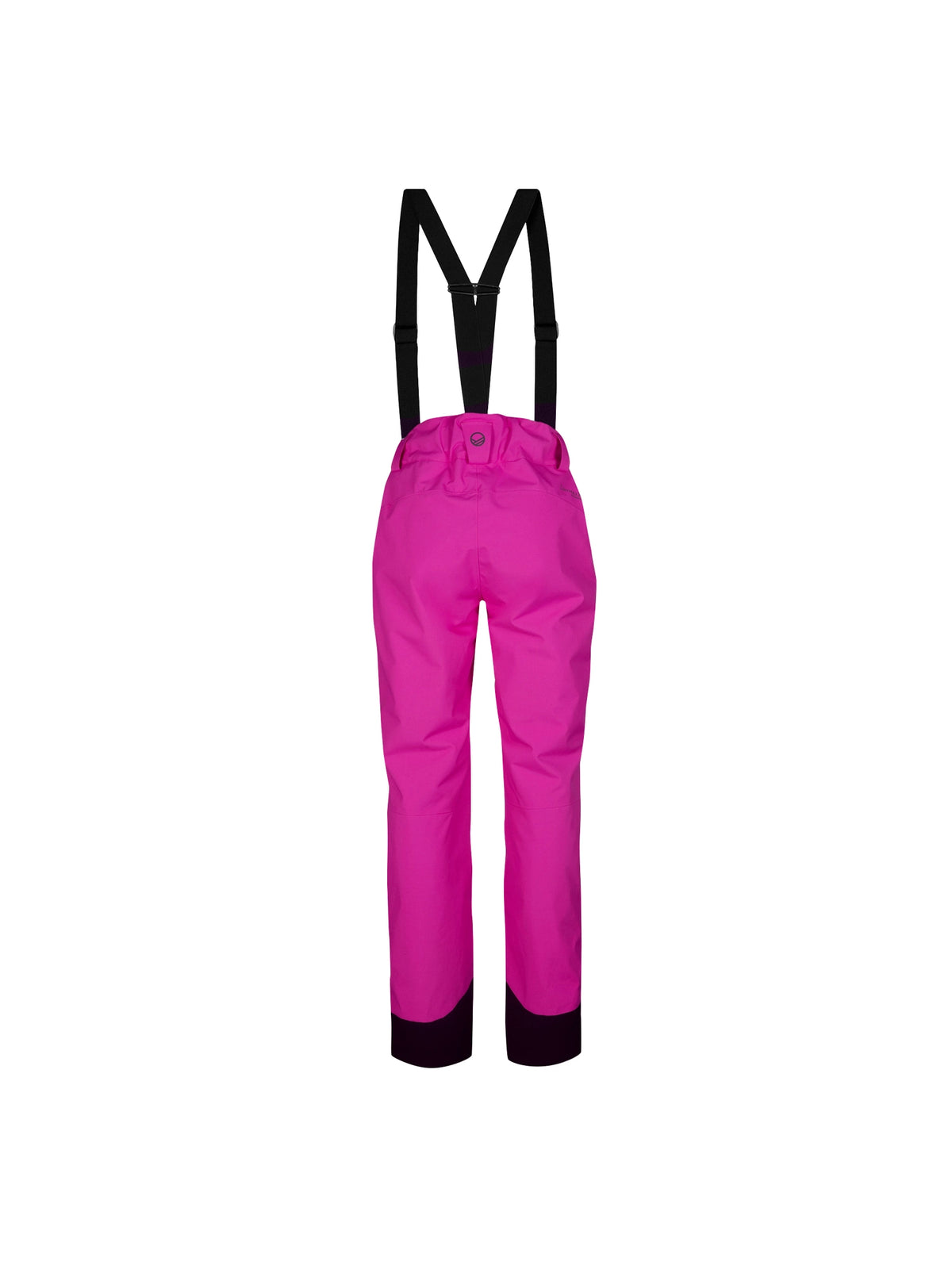Halti Carvey Dx Skihose Damen schwarz Bild 4