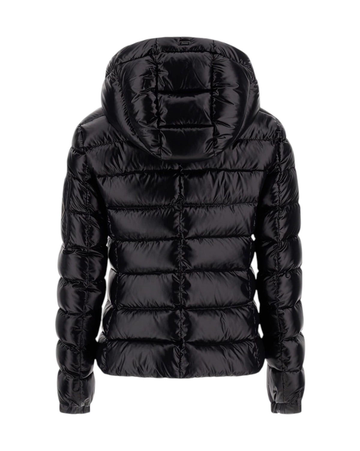 Herno Glanznylon Damen-Daunenjacke mit Kapuze - Herno - MEINFREUDENHAUS