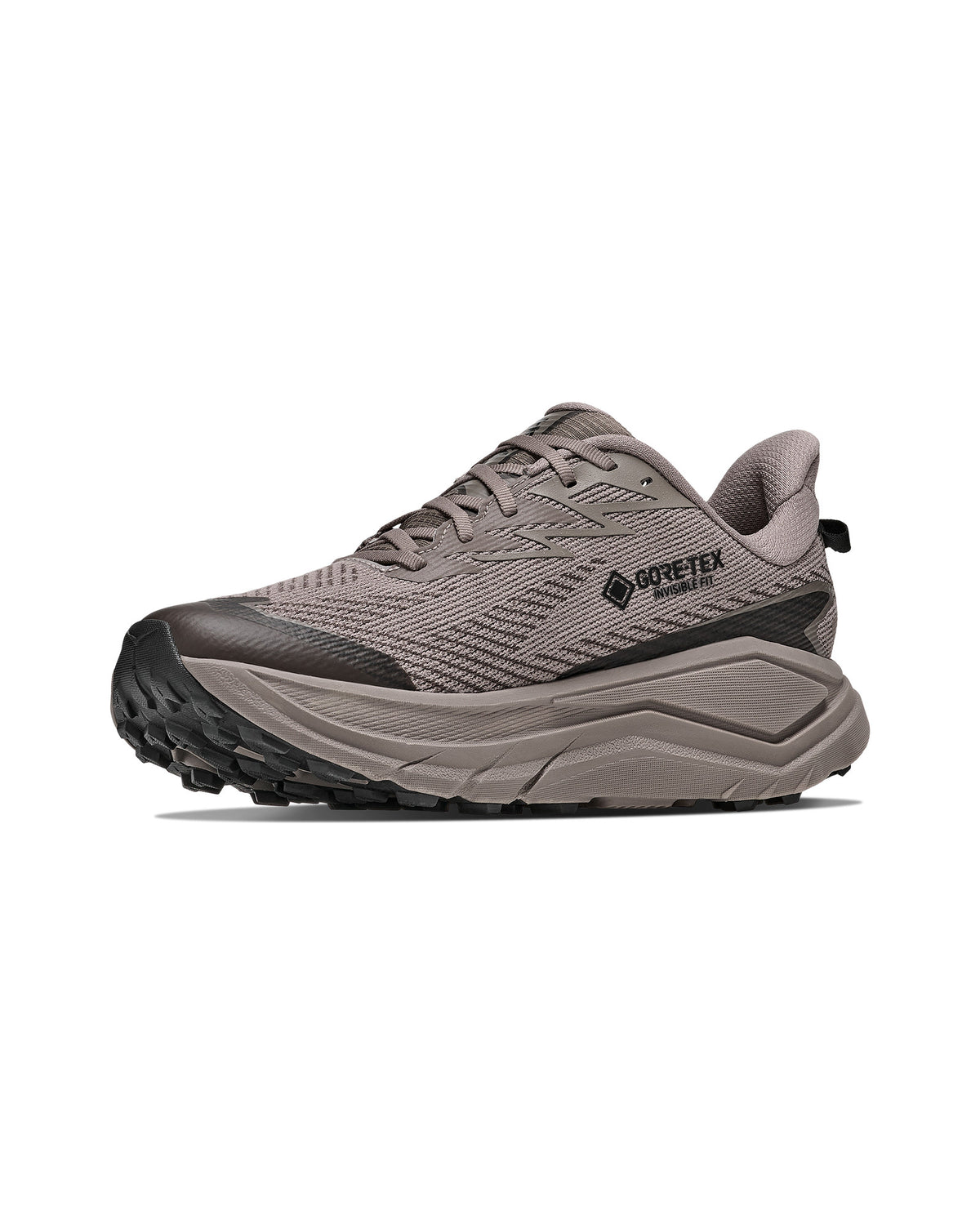 Challenger 8 GTX Trailrunningschuh Herren grau Bild 2