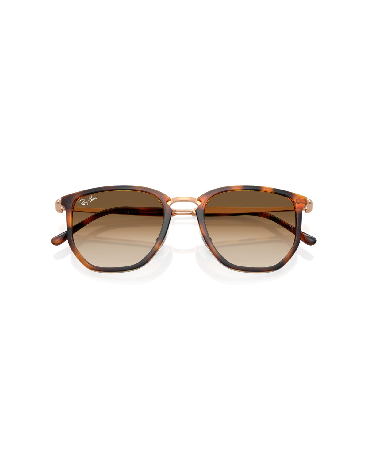 Ray-Ban RB4451 Sonnenbrille schwarz Bild 12